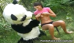 Panda scopa un giovane pulcino in giardino
